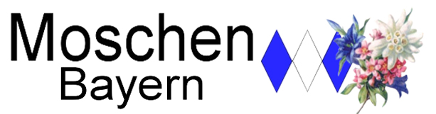 GÜRTEL - Trachtengürtel Dirndlgürtel